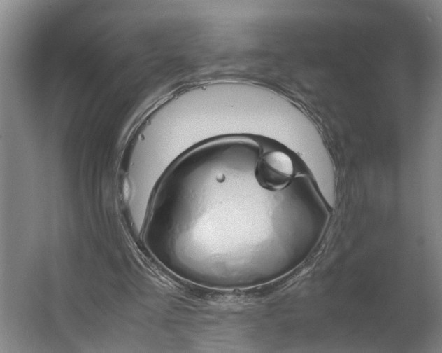 X0000062900293200601271721