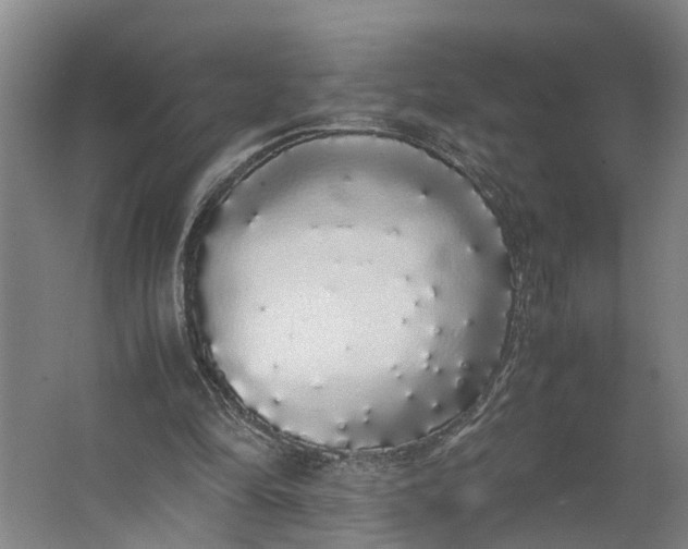 X0000062900294200601271721