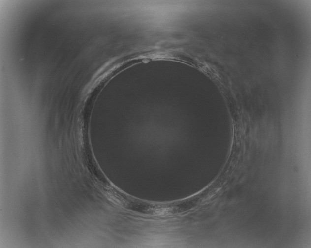 X0000062900295200601271721