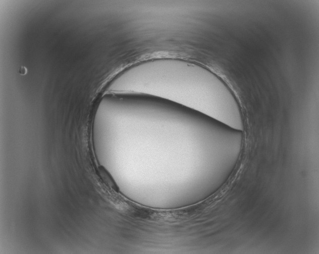 X0000062900297200601271721