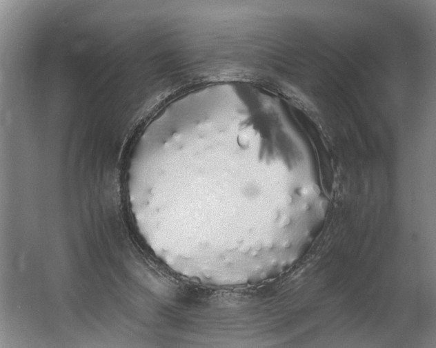 X0000062900298200601271720