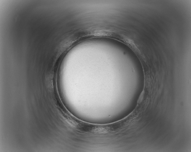 X0000062900299200601271720