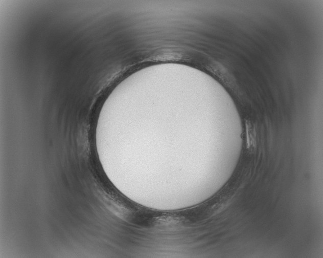 X0000062900300200601271720