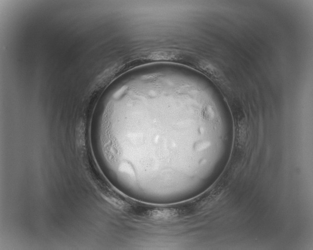 X0000062900303200601271720