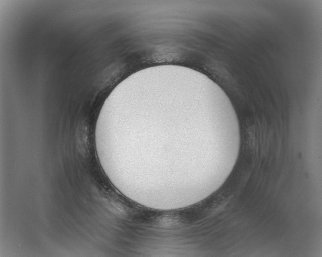 X0000062900308200601271720