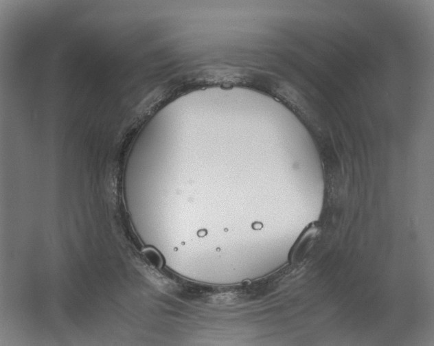 X0000062900309200601271720