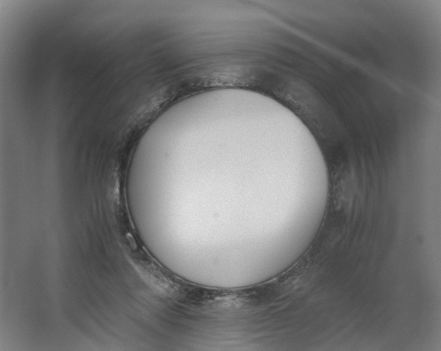 X0000062900310200601271720