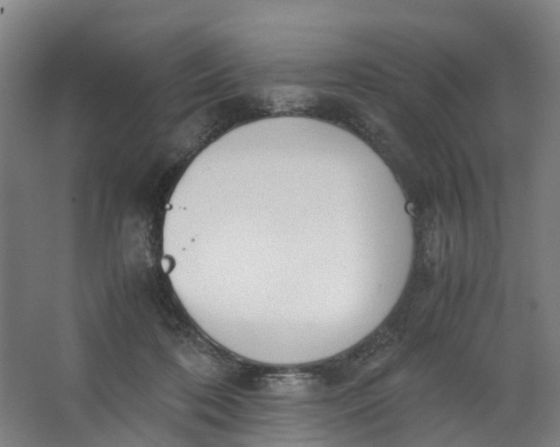 X0000062900316200601271720