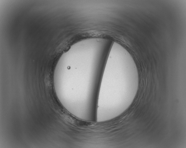 X0000062900317200601271720