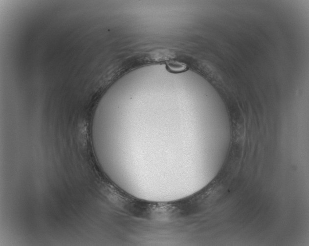 X0000062900321200601271720