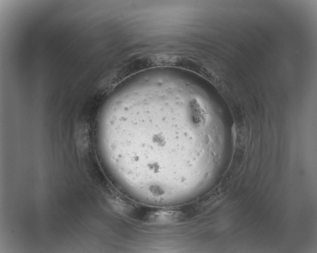 X0000062900323200601271720