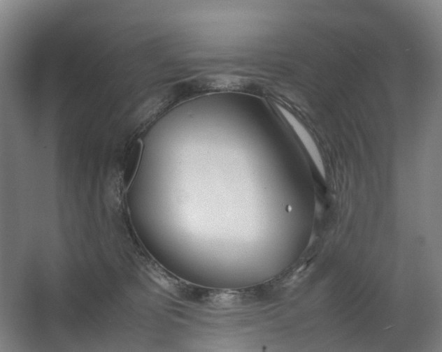 X0000062900325200601271720