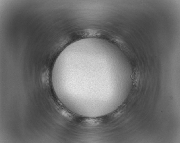 X0000062900326200601271720