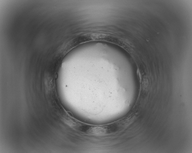 X0000062900327200601271720