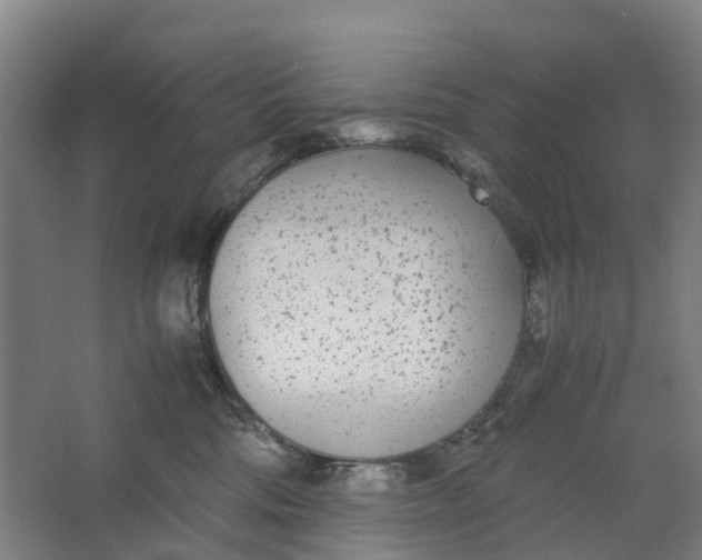 X0000062900330200601271720