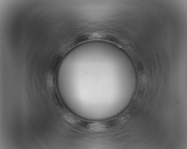 X0000062900331200601271720