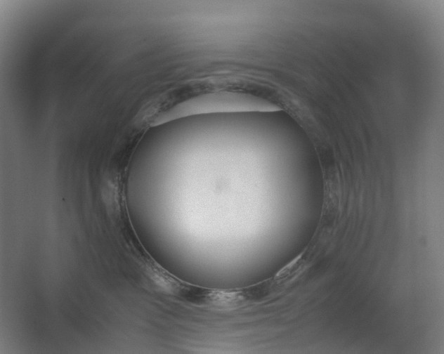 X0000062900333200601271720