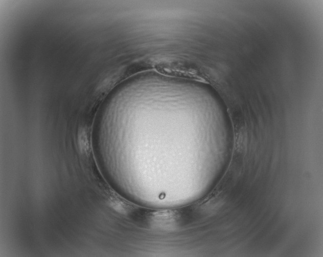 X0000062900335200601271720