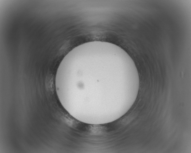 X0000062900336200601271720