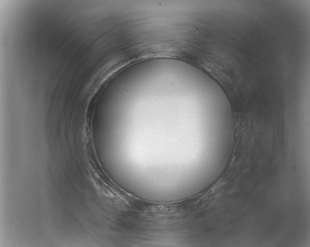 X0000062900338200601271719