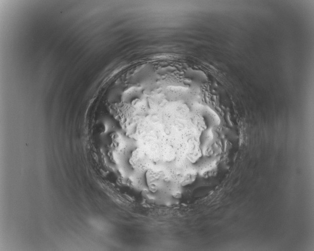 X0000062900339200601271719