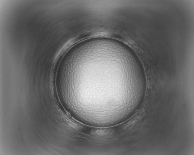 X0000062900341200601271719