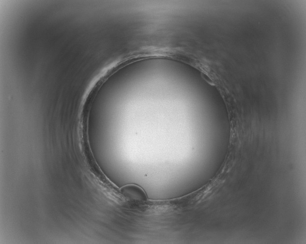 X0000062900342200601271719