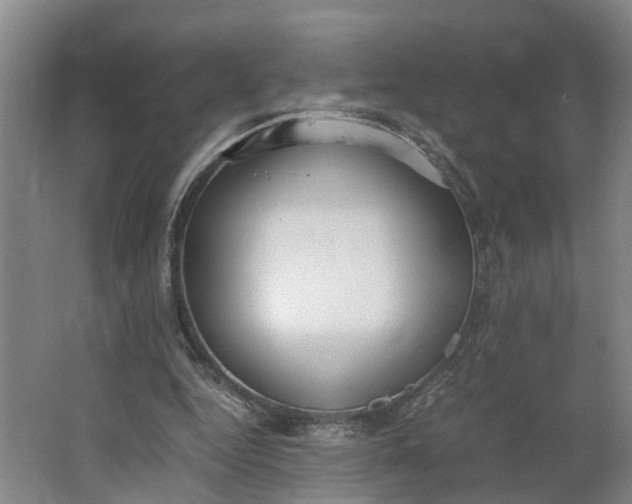 X0000062900344200601271719