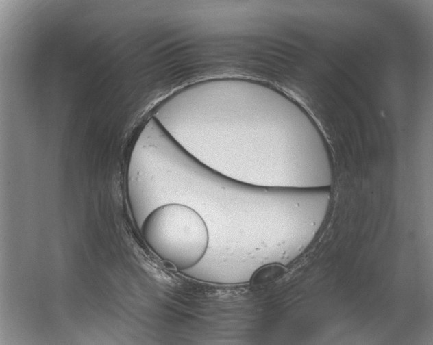 X0000062900345200601271719