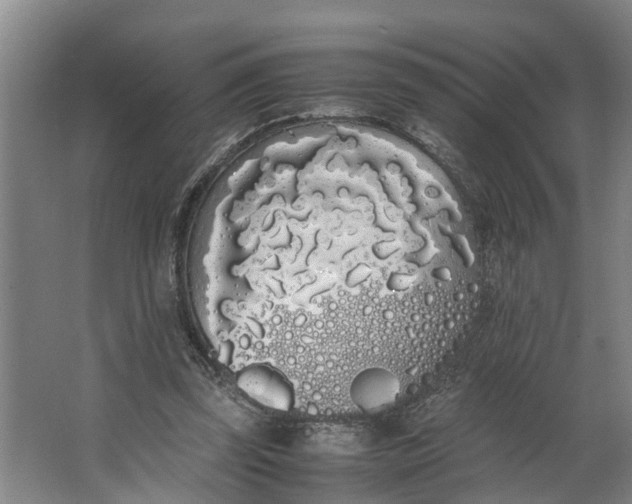 X0000062900347200601271719