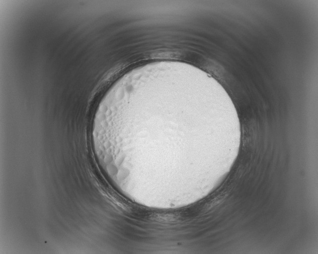 X0000062900349200601271719