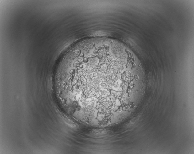 X0000062900351200601271719