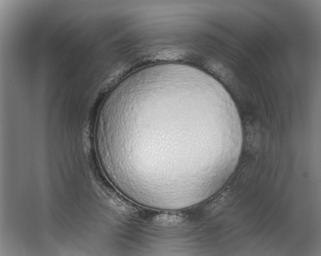 X0000062900354200601271719