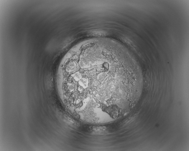 X0000062900355200601271719