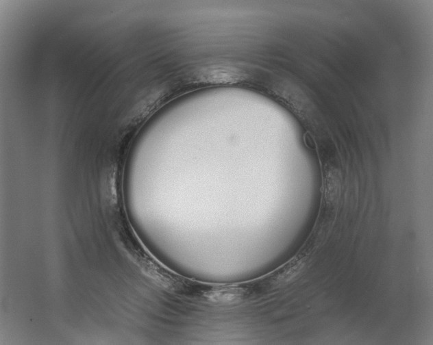 X0000062900358200601271719