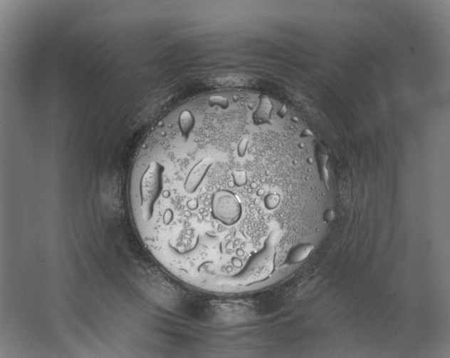 X0000062900359200601271719