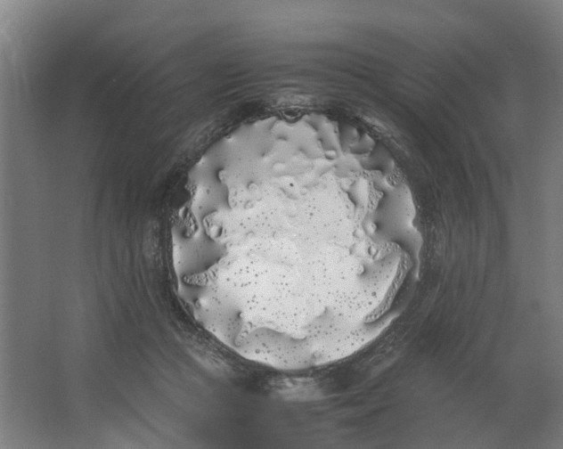 X0000062900361200601271719