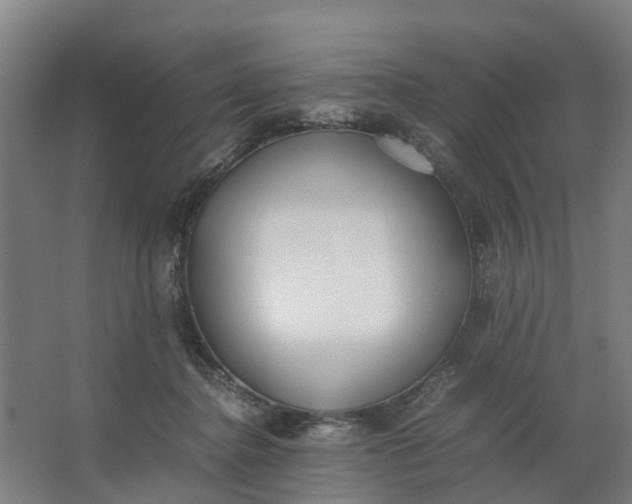 X0000062900364200601271720