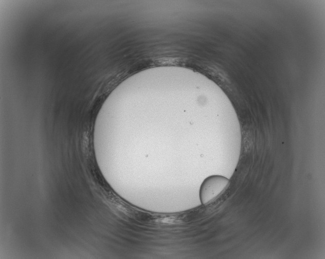 X0000062900365200601271720