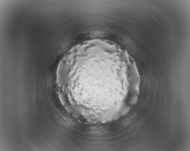 X0000062900367200601271720