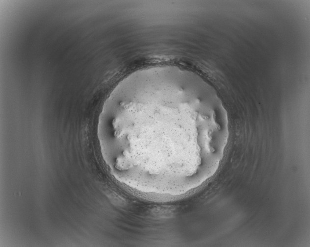 X0000062900369200601271720