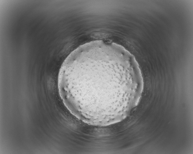 X0000062900371200601271720