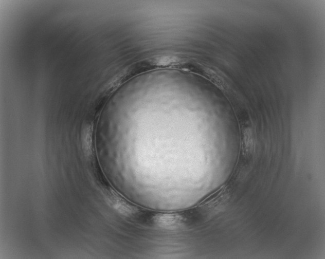 X0000062900372200601271720