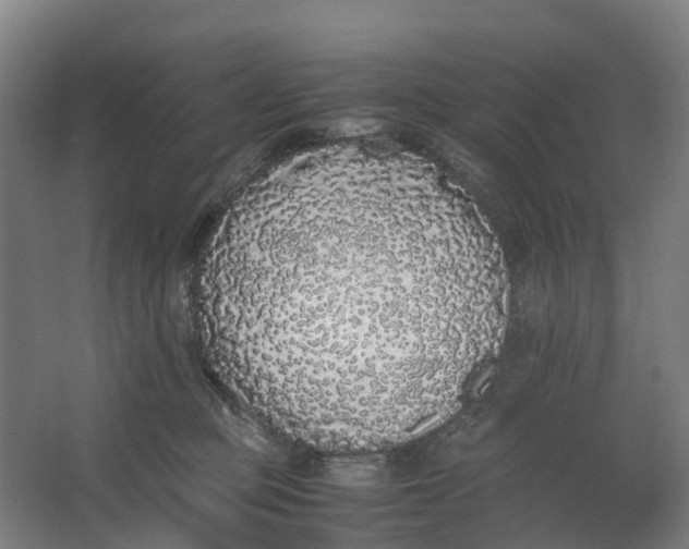 X0000062900373200601271720