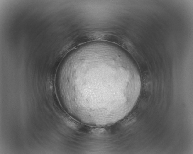 X0000062900374200601271720