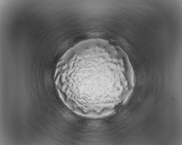 X0000062900377200601271720