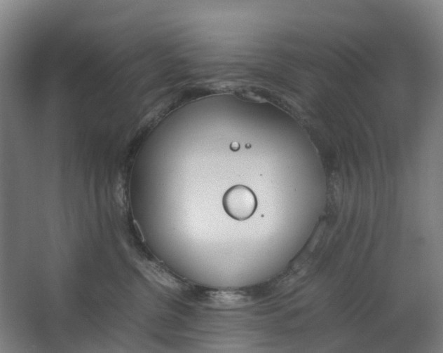 X0000062900380200601271720