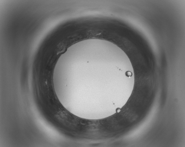 X0000062900382200601271720