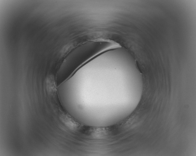 X0000062900384200601271720