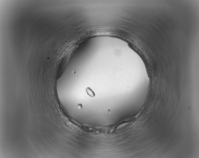 X0000062900385200601271719